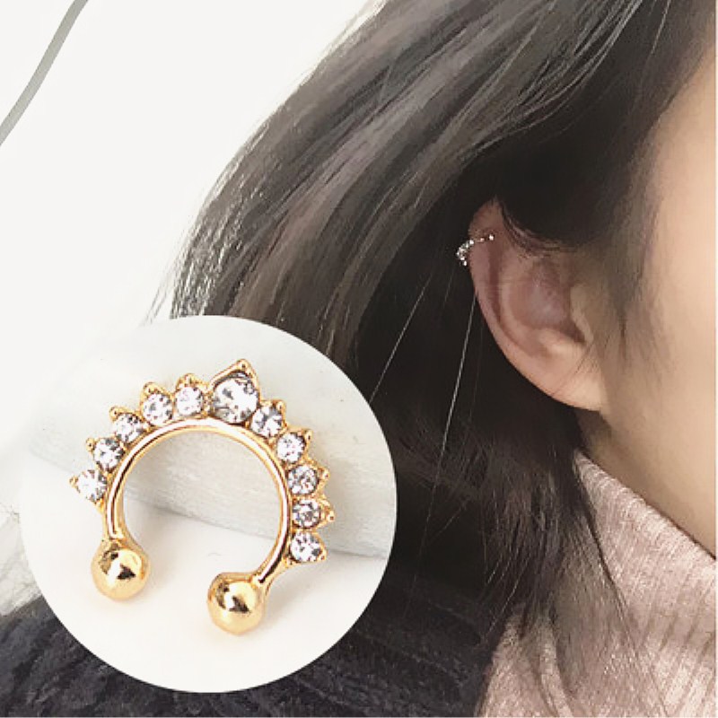 Body Jewelry Ear - Faux anneaux et goujons antarctiques en