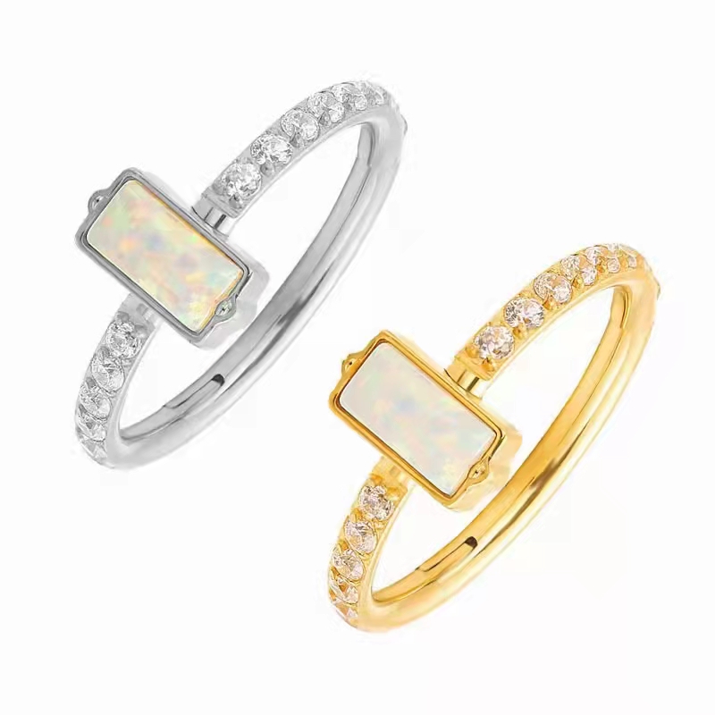 10 pièces 316L acier chirurgic - Clicker Ring Seamless avis et prix