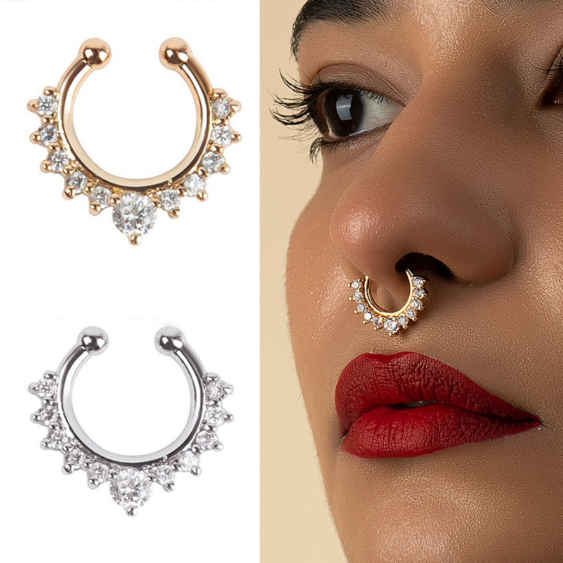Faux anneaux et goujons antarc - Body Jewelry Ear avis et prix