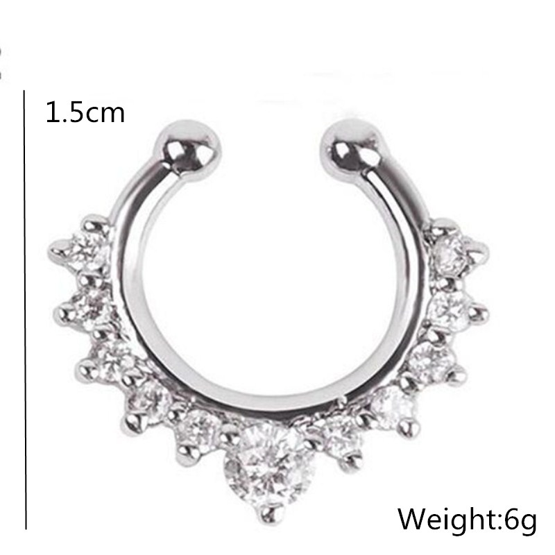 Faux anneaux et goujons antarc - Body Jewelry Ear avis et prix