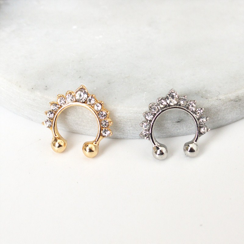 Faux anneaux et goujons antarc - Body Jewelry Ear avis et prix