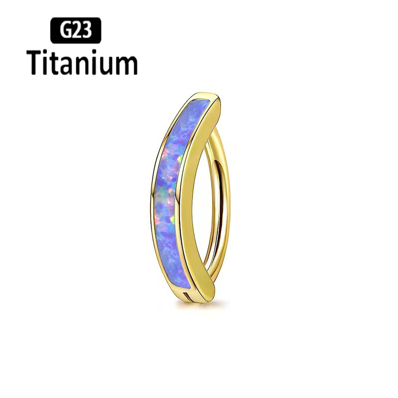 1PC 14G Implant Grade G23 tita - Body Jewelry Implant Grade Titanium avis et prix