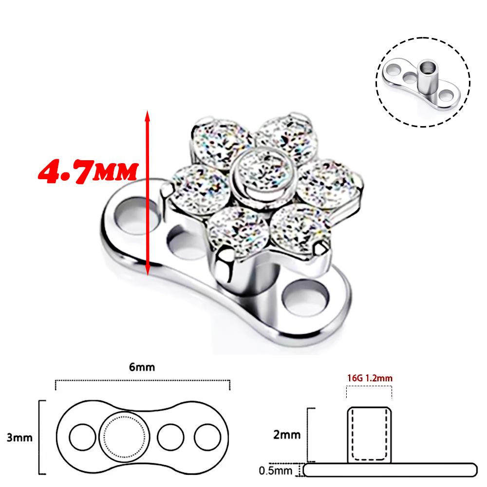 F136 alliage de titane de haut - Body Jewelry Implant Grade Titanium avis et prix